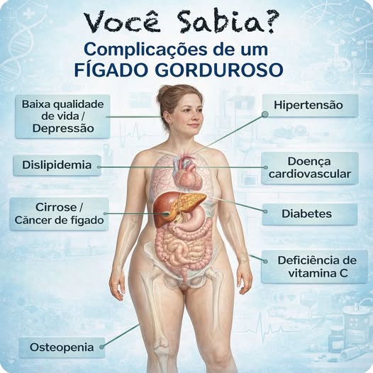 FIGADO GORDUROSO FOTO EXPLICA.jpg