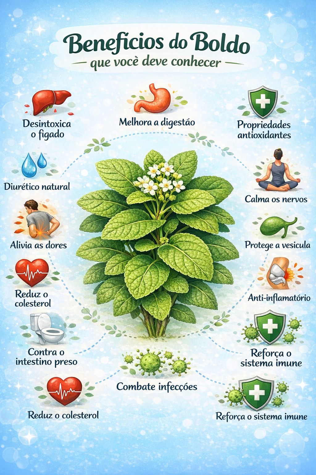 boldo do chile,,, footo boa.jpg