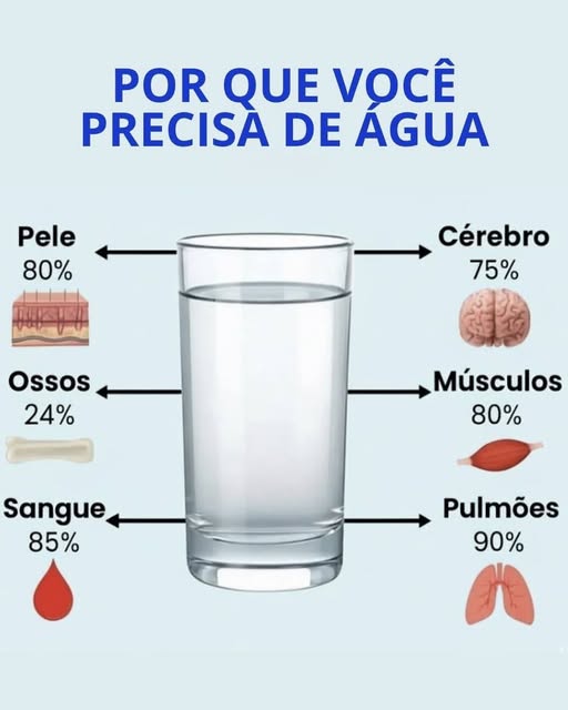 porque precisamos de agua.jpg